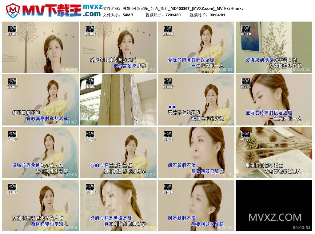 林姗-回头太晚_台语_流行_MD103367